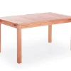 Elsa Mario Havemøbelsæt 100x180/240 - Kerneteak