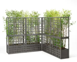 Nardi Sipario 2 Espalier 141 cm - Cactus